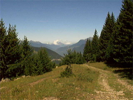 Un sentier de randonnée - Alpes Savoie, vallée de la Tarentaise, Méribel, août 2004